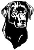 /album/vysivky/t-labrador-jpg1/