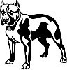 /album/vysivky/t-pitbull-3-jpg1/